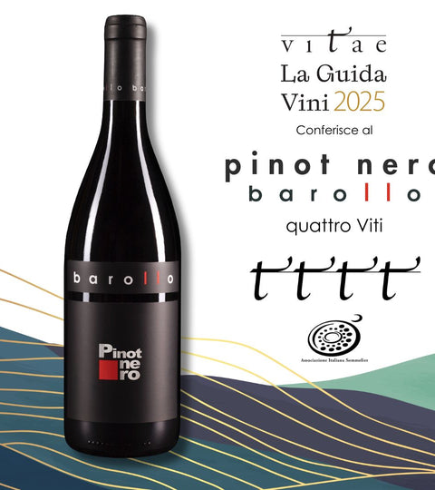 4 VITI al Pinot Nero Barollo