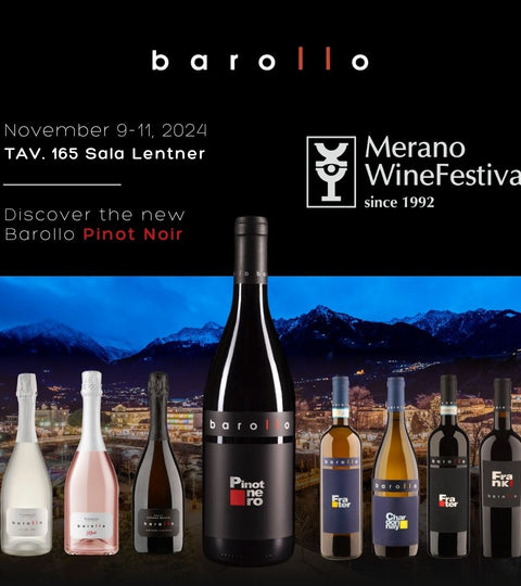 9, 10 e 11 Novembre: i vini Barollo a Merano Wine Festival