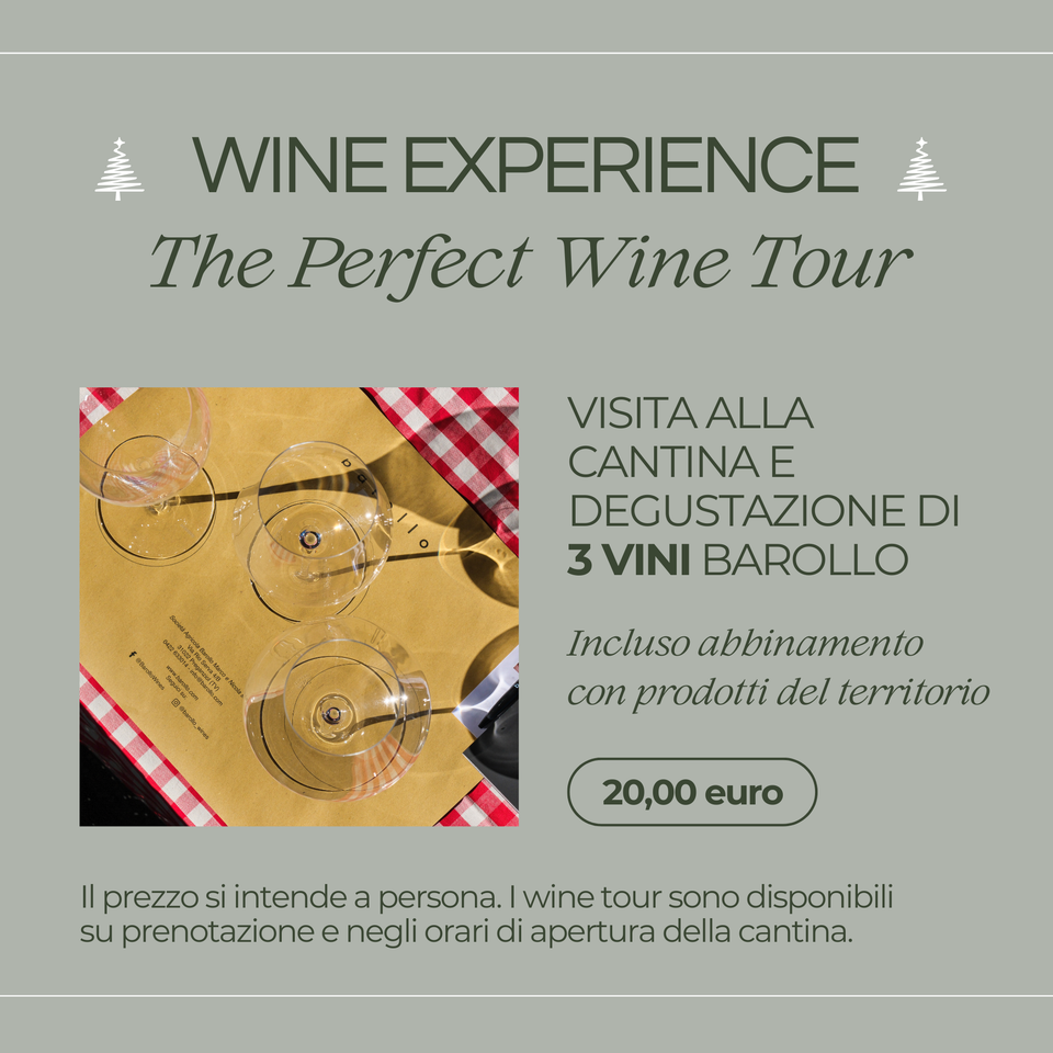 WINE EXPERIENCE - The Perfect Wine Tour